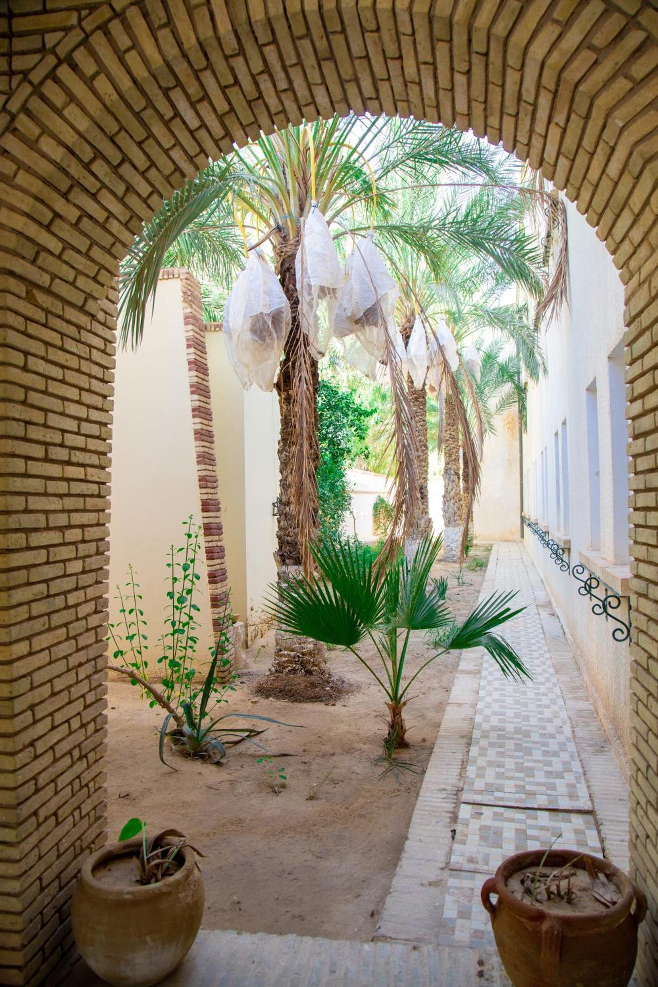 Residence El Arich トズル エクステリア 写真